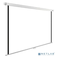 Экран Cactus 220x220см WallExpert CS-PSWE-220x220-WT 1:1 настенно-потолочный рулонный