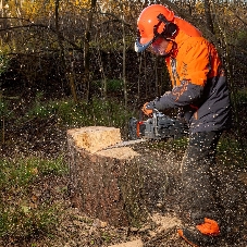 Бензопила Daewoo DACS5820XT 58 см3 4.5лс 50 см 10500об/мин