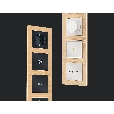 Рамка ALFA Platos (Шампань Металл шлифованный) 2-ая AF550302