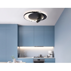 Светильник Ambrella light FL51393/1+2 BK черный 3000K-6400K 65W 560*480*120 (ПДУ РАДИО 2.4G)