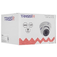 Антивор-видеонаблюдения Trassir TR-D2S5 v2 с PoE (2.8 мм) 2 шт + 12 месяцев записи архива в облако.