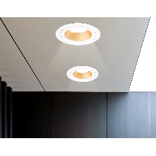 Встраиваемый точечный светильник Ambrella light TN102823 WH/GD белый/золото GU5.3 D92*50