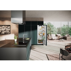 Встраиваемый холодильник Liebherr BUILT-IN IRE 5100-22 001