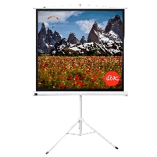 Экран 150x150 см TriScreen 1:1 напольный рулонный белый84' Matt White (MW), черный корпус