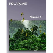 Телевизор PolarLine 65