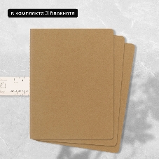 Блокнот Moleskine CAHIER JOURNAL QP423 XLarge 190х250 мм, обложка картон, 120 страниц, нелинованный, бежевый (3 шт)