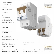 Автоматический выключатель Werkel 2P 50 A C 4,5 кА W902P504