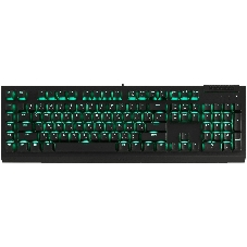 Клавиатура Razer BlackWidow V4 X Green Switch проводная, USB Type-A, чёрный (РУ раскладка)