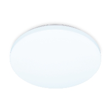 Потолочный светодиодный светильник Ambrella light FZ1009 WH белый 21W 6400K D320*55 (Без ПДУ)