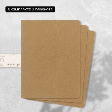 Блокнот Moleskine CAHIER JOURNAL QP421 XLarge 190х250мм обложка картон 120стр. линейка бежевый (3шт)