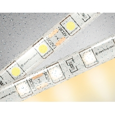 Светодиодная лента Ambrella light GS2101 5050 60Led/ 14.4W m/ 12V IP65 3000K/ 5000*10*2.87mm (2 конт.)