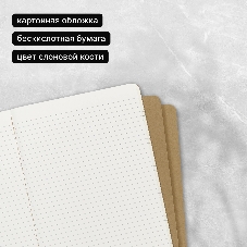 Блокнот Moleskine CAHIER JOURNAL QP421 XLarge 190х250мм обложка картон 120стр. линейка бежевый (3шт)