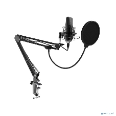 Микрофон Ritmix RDM-169 черный