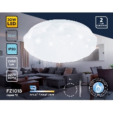 Потолочный светодиодный светильник Ambrella light FZ1018 WH белый 30W 6400K D380*55 (Без ПДУ)