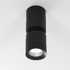 25048/LED 12W 4000К чёрный / Светильник потолочный светодиодный