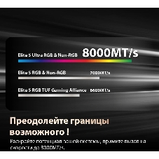 Оперативная память Patriot Viper Elite 5 Ultra, DDR5, 32GB (2x16GB), 6000 MHz, CL28, с радиатором, чёрный