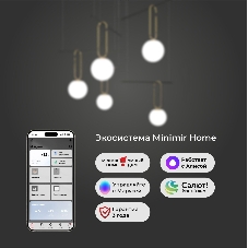 70143/5 / подвесной светильник / черный Smart