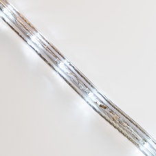 Дюралайт LED, постоянное свечение (2W) - белый Эконом 24 LED/м , бухта 100м