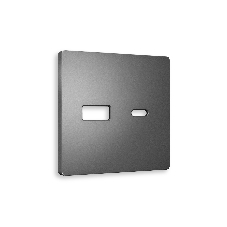 Лицевая панель ALFA (Антрацит серый) для розетки 2USB тип A+C QUANT AP6610