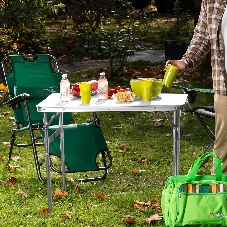 Стол складной Camping Palisad алюм., столешница МДФ, 900x600x300/700 мм
