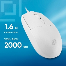 Мышь проводная Oklick 147M белый, 2000 dpi, USB, кнопки - 4