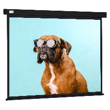 Экран Cactus 183x244см Wallscreen CS-PSW-183X244-BK 4:3 настенно-потолочный рулонный черный
