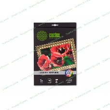 Холст Cactus CS-CA426010 A4/260г/м2/10л. для струйной печати