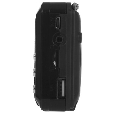Радиоприемник SOUNDMAX SM-RD2116 черный