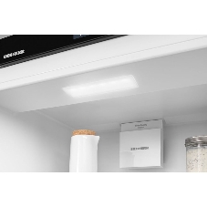 Встраиваемый холодильник Liebherr BUILT-IN ICNSE 5103-20 001
