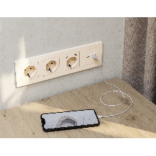 Комплект механизма розетки ALFA Бежевый матовый 2USB A+C 20W (быстрая зарядка) QUANT (AP3310, VM177) MA331010