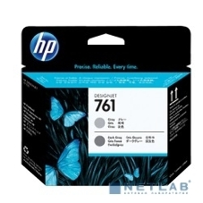 Картридж струйный HP 761 CH647A темно-серый/серый печатающая головка для HP DJ T7100