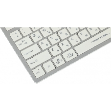 Клавиатура проводная A4Tech Fstyler FX50, USB, белый