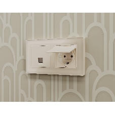 Комплект механизма компьютерной розетки ALFA Бежевый матовый RJ-45(8P8C) CAT6 с шторкой QUANT (AP3320, VM188) MA332010