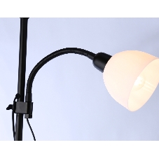 Светильник Ambrella light TR97629/2 BK черный E27+E14 max 40W D245/100*1770