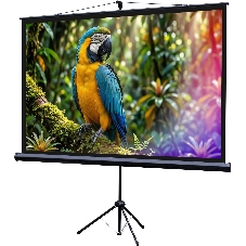 Экран на штативе Lumien Eco View 110x192см (раб.область104х186 см) (84