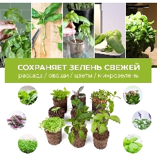 Набор питательных губок Cactus CS-SPONGE-20 для проращивания (упак.:20шт) коробка