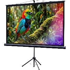 Экран на штативе Lumien Eco View 115x200см (раб.область109х194 см) (88