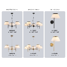 Светильник Ambrella light LH72451/3 BK/WH черный/белый Е14/3 max 40W D800*290-1080