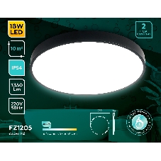 Потолочный светодиодный светильник Ambrella light FZ1204 BK черный IP54 11W 5000K D210*60 (без ПДУ)