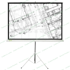 Экран Cactus 127x127см Triscreen CS-PST-127X127 1:1 напольный рулонный белый