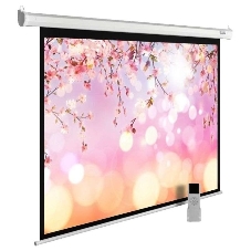 Экран Cactus 220x220 см MotoExpert CS-PSME-220x220-WT 1:1 настенно-потолочный рулонный белый (моторизованный привод)