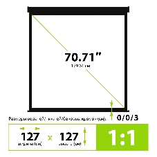Экран Cactus 127x127см Wallscreen CS-PSW-127X127-BK 1:1 настенно-потолочный рулонный черный