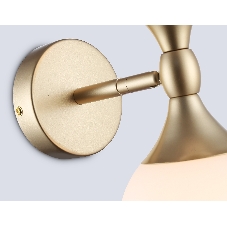 Настенный светильник Ambrella light LH51053/2 GD/FR золото/белый матовый G9*2 max 28W 120*195*300