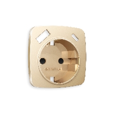 Лицевая панель OMEGA (Шампань) для электрической розетки с/з со шторками 2USB A+C QUANT OP6100