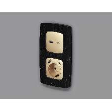 Лицевая панель OMEGA (Шампань) для электрической розетки с/з со шторками 2USB A+C QUANT OP6100