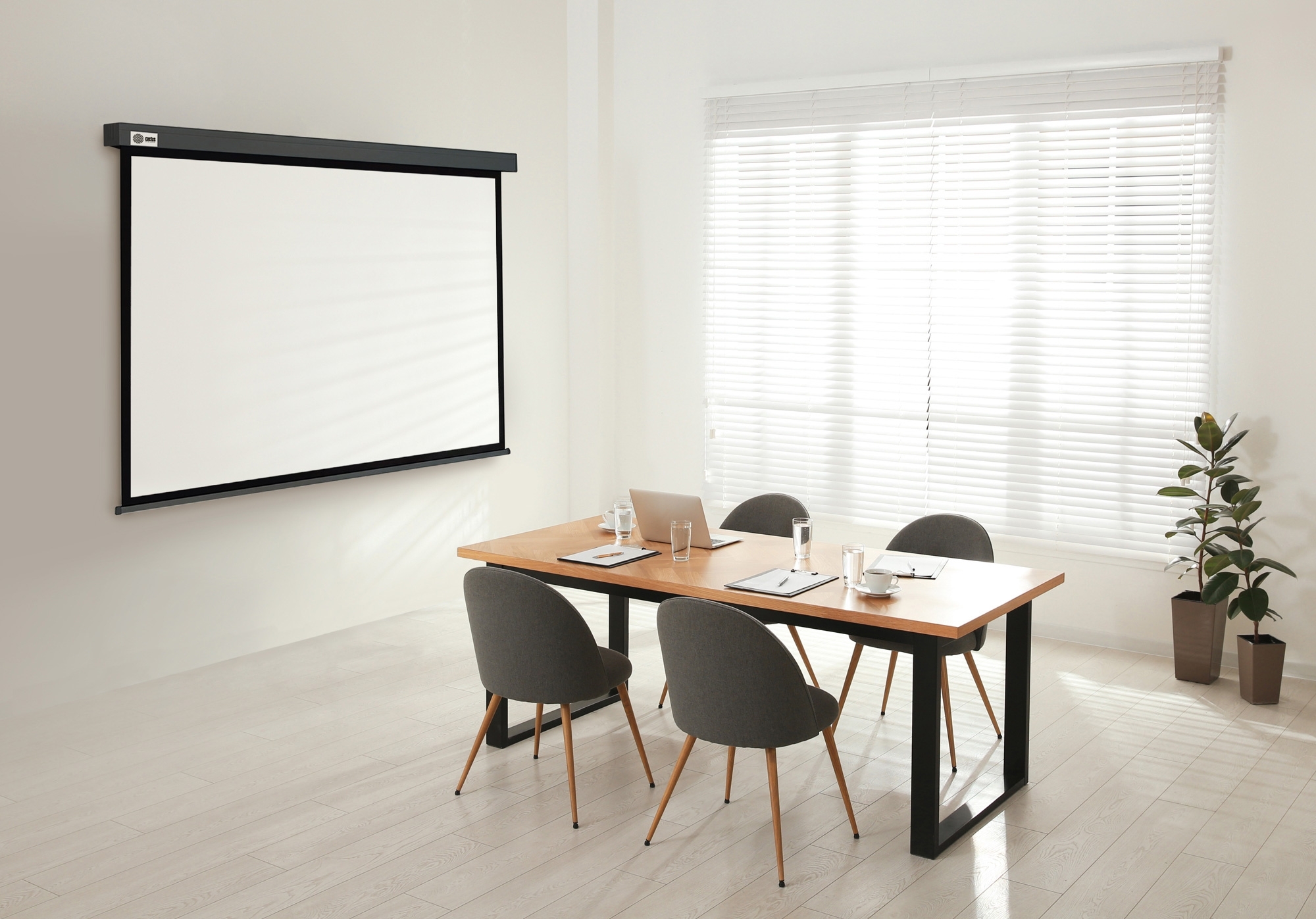 Экран Cactus 150x150 см Wallscreen CS-PSW-150X150-SG 1:1 настенно-потолочный рулонный серый