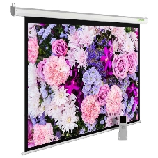 Экран Cactus 150x240 см SIlverMotoExpert CS-PSSME-240X150-WT 16:10 настенно-потолочный рулонный белый (моторизованный привод)