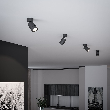 25013/01 / светильник накладной / черный