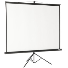 Экран на треноге Lumien 203x203см Master View LMV-100109 1:1 напольный рулонный