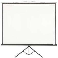 Экран на треноге Lumien 203x203см Master View LMV-100109 1:1 напольный рулонный